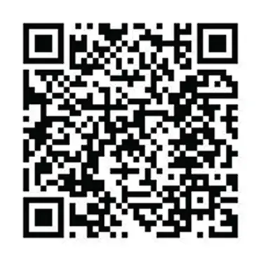 maestro-plugin-qr.webp
