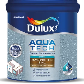 damp-protect.webp