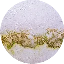 efflorescence.webp